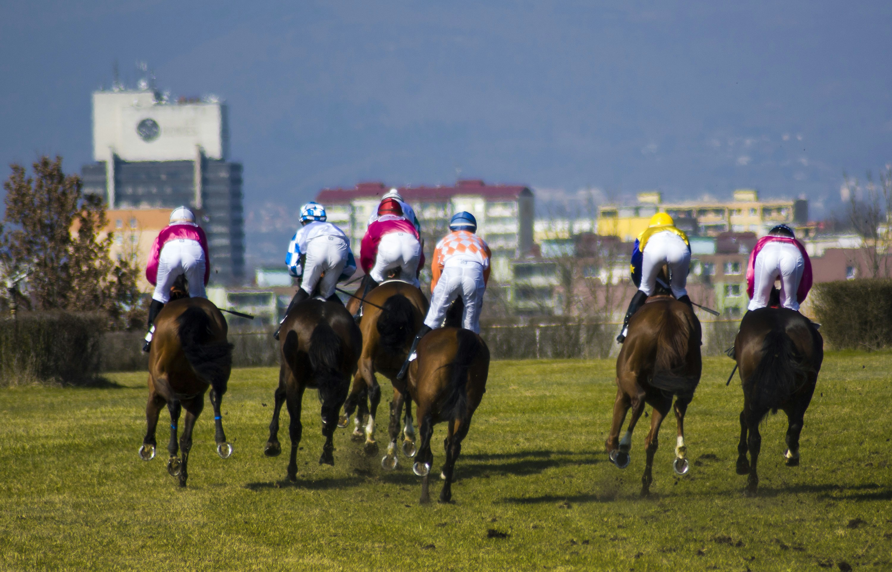 six people racing using horses during daytime