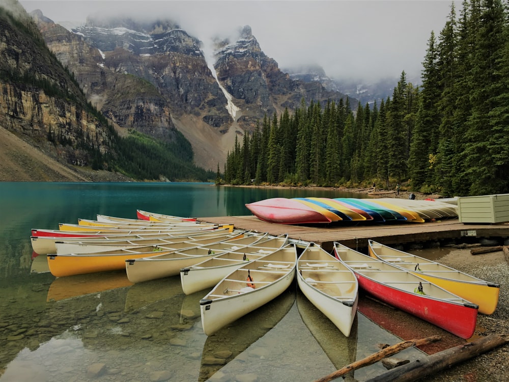 photo of assorted-color canoes on body of water surrounded by pine trees