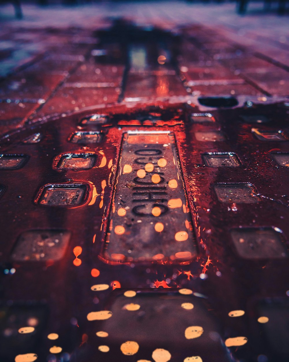 macro photography of manhole cover on concrete pavement