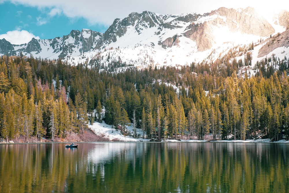 body of water surrounded by pine tree during daytime