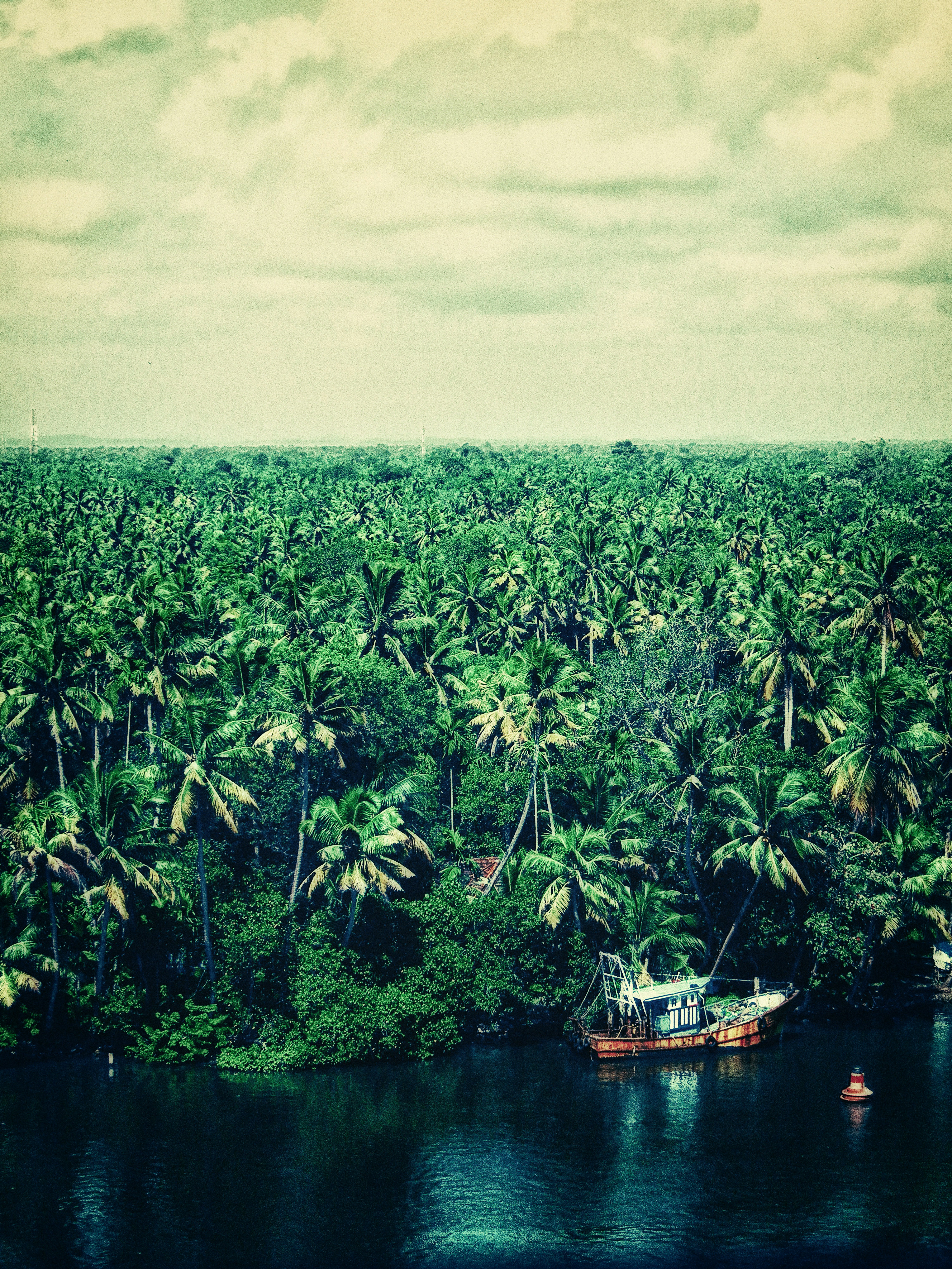 Group of fishermen fishing on a clear jungle river, tropical forest background, morning light