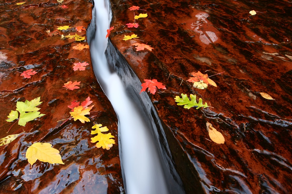 running water scenery