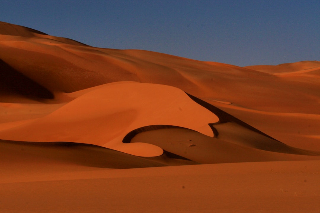 desert sand during dawn