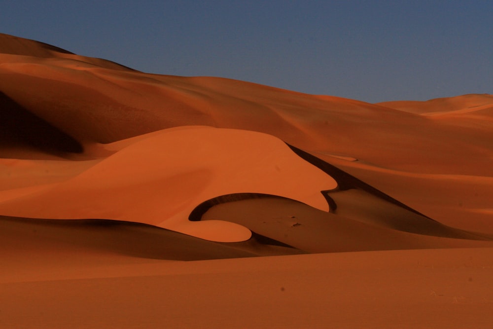 desert sand during dawn