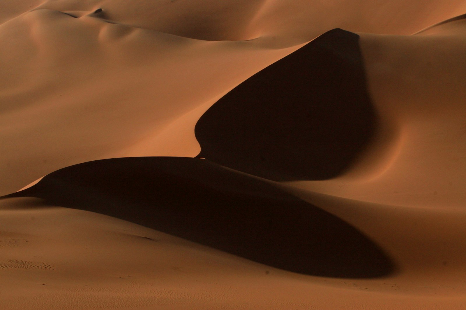 Canon EOS 30D sample photo. Desert sand photography