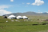 A set of three yurts are situated on a vast grassy plain with a mountainous backdrop. A vehicle is parked next to the yurts, and there are some scattered rocks and patches of dirt on the ground. The sky is bright with a few clouds, indicating a clear and sunny day. A person can be seen in the distance near the yurts.