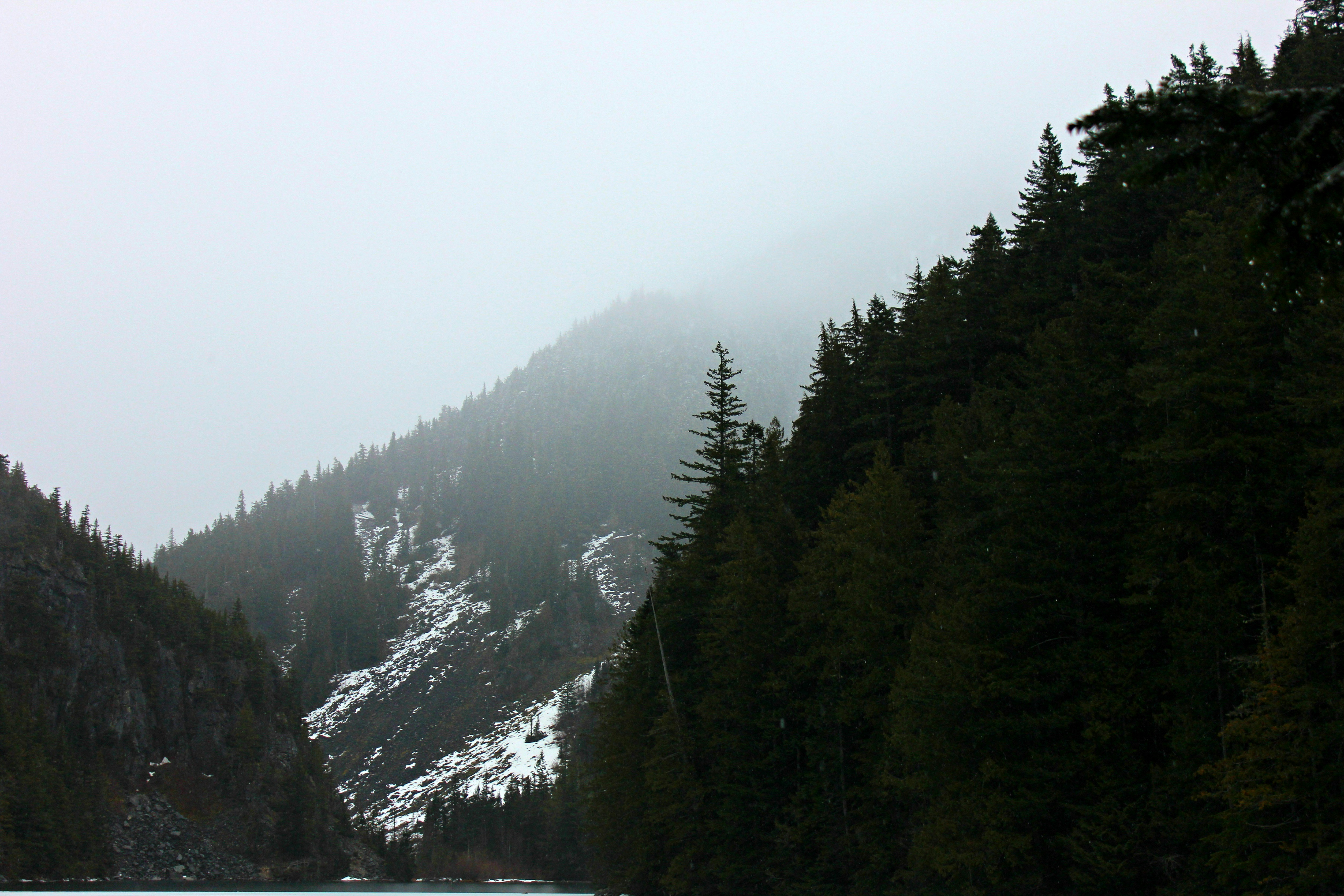 forest on mountains during daytime, A bunch of friends decided it was a good idea to do a hike in the early hours of the morning when it was still around mid-March, in the cold, wet rain, with half melting snow making our shoes soaking wet.