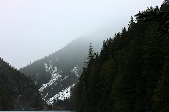 forest on mountains during daytime in Lindeman Lake Canada
