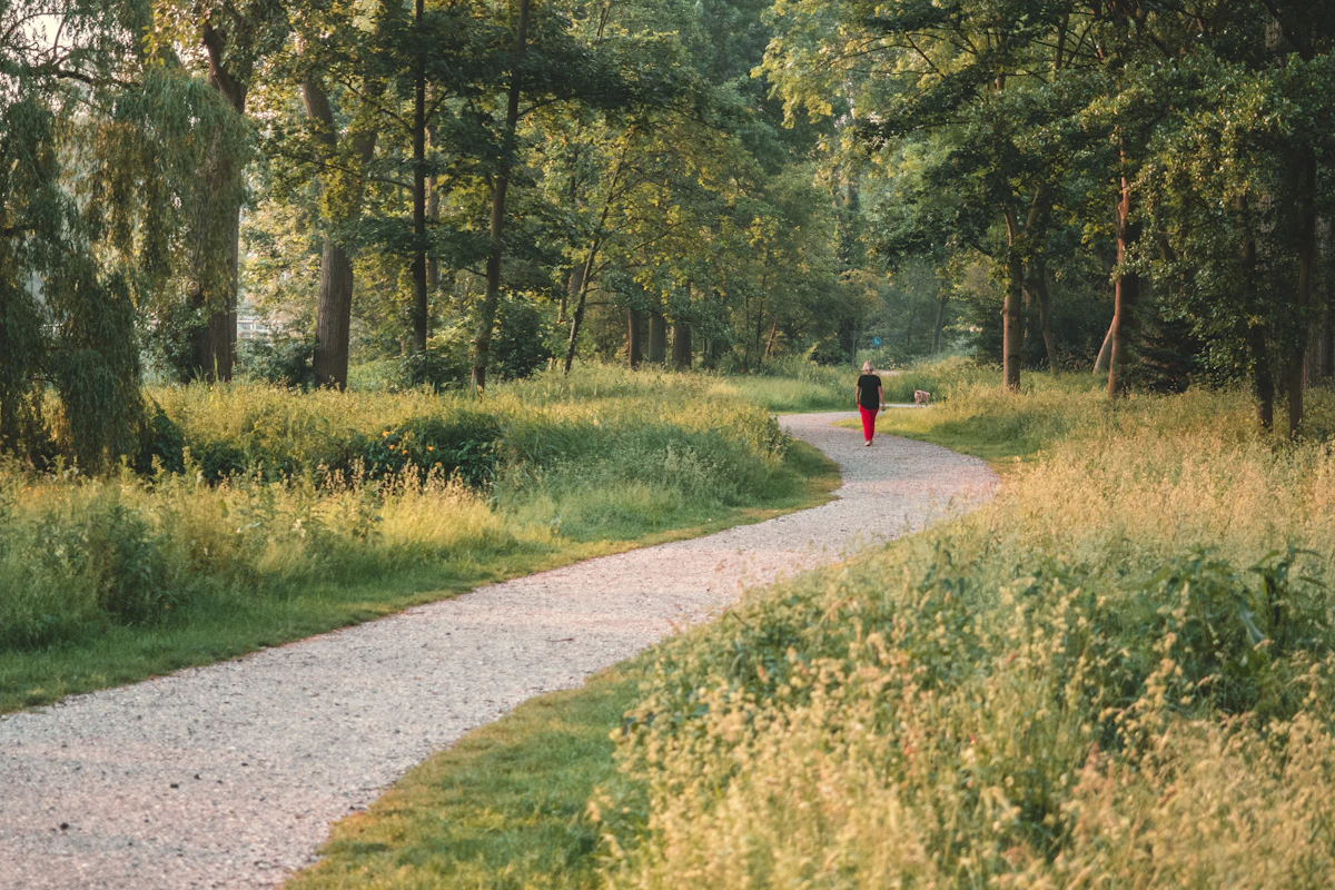 A person walking on a wooded path for daily aerobic activity