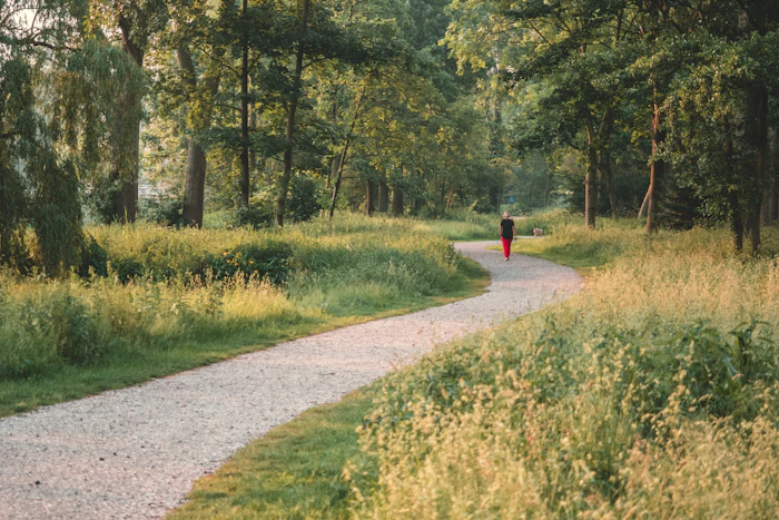 Walking Paths