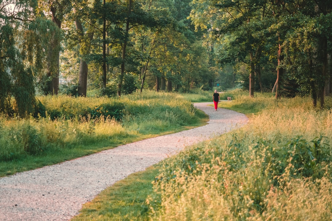 Nature reserve photo spot Zaandam Holland