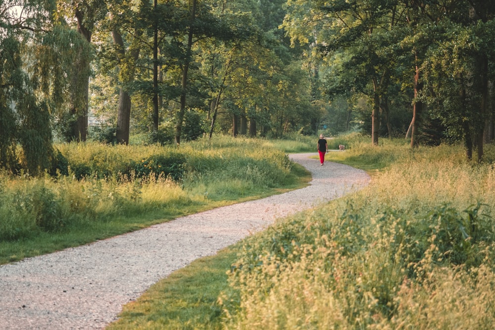person in red jacket walking on pathway between green grass and trees during daytime