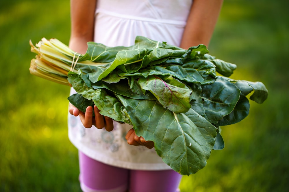 person holding bok choy