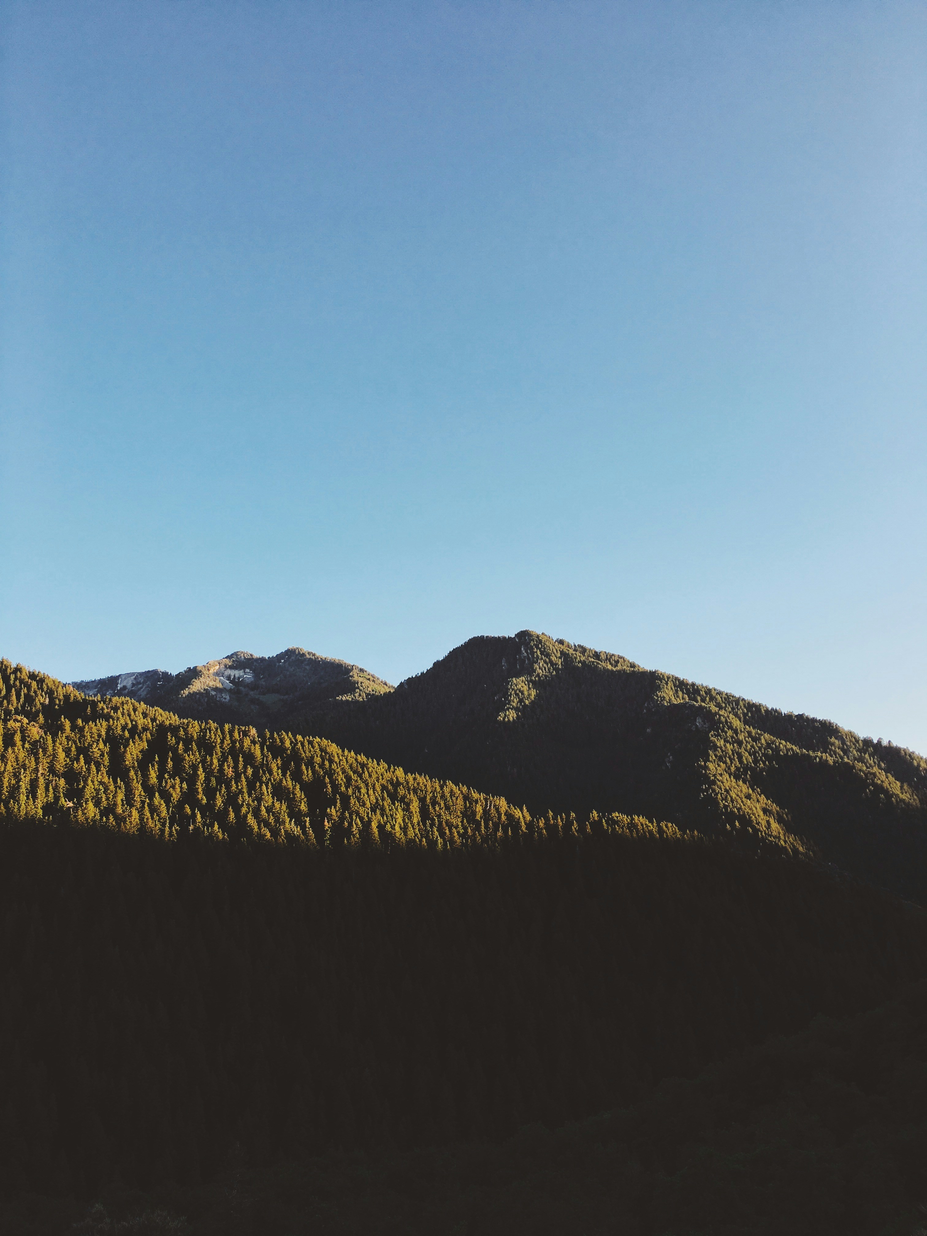 mountain covered with trees under blue sky at daytime