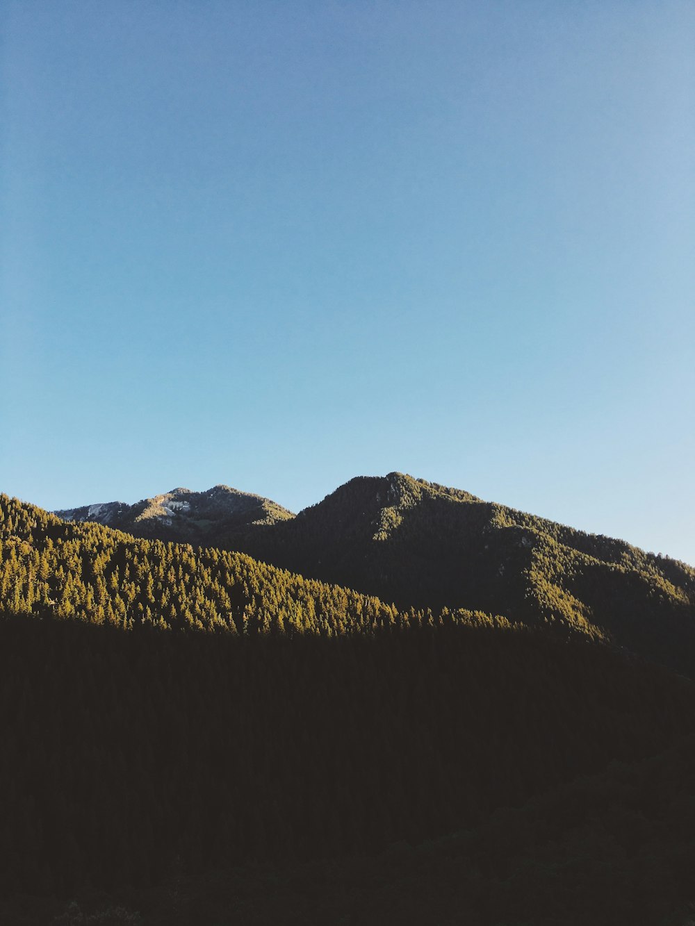 昼間の青空に木々に覆われた山