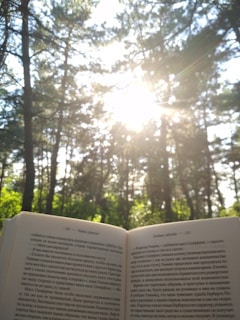 An open book is held up against the backdrop of a forest with trees reaching towards the sky. Sunlight filters through the branches, creating a bright, serene atmosphere.