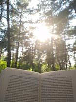 An open book is held up against the backdrop of a forest with trees reaching towards the sky. Sunlight filters through the branches, creating a bright, serene atmosphere.