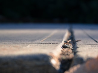 Handyman repairing cracks on a wooden deck surface.