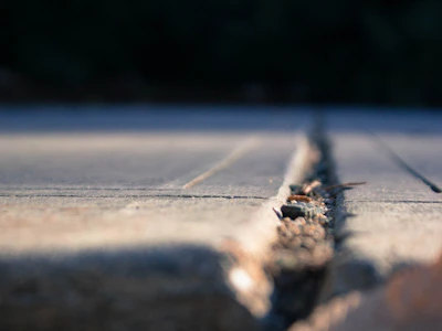 Close-up of a freshly filled wooden floor crack blending seamlessly with the grain.