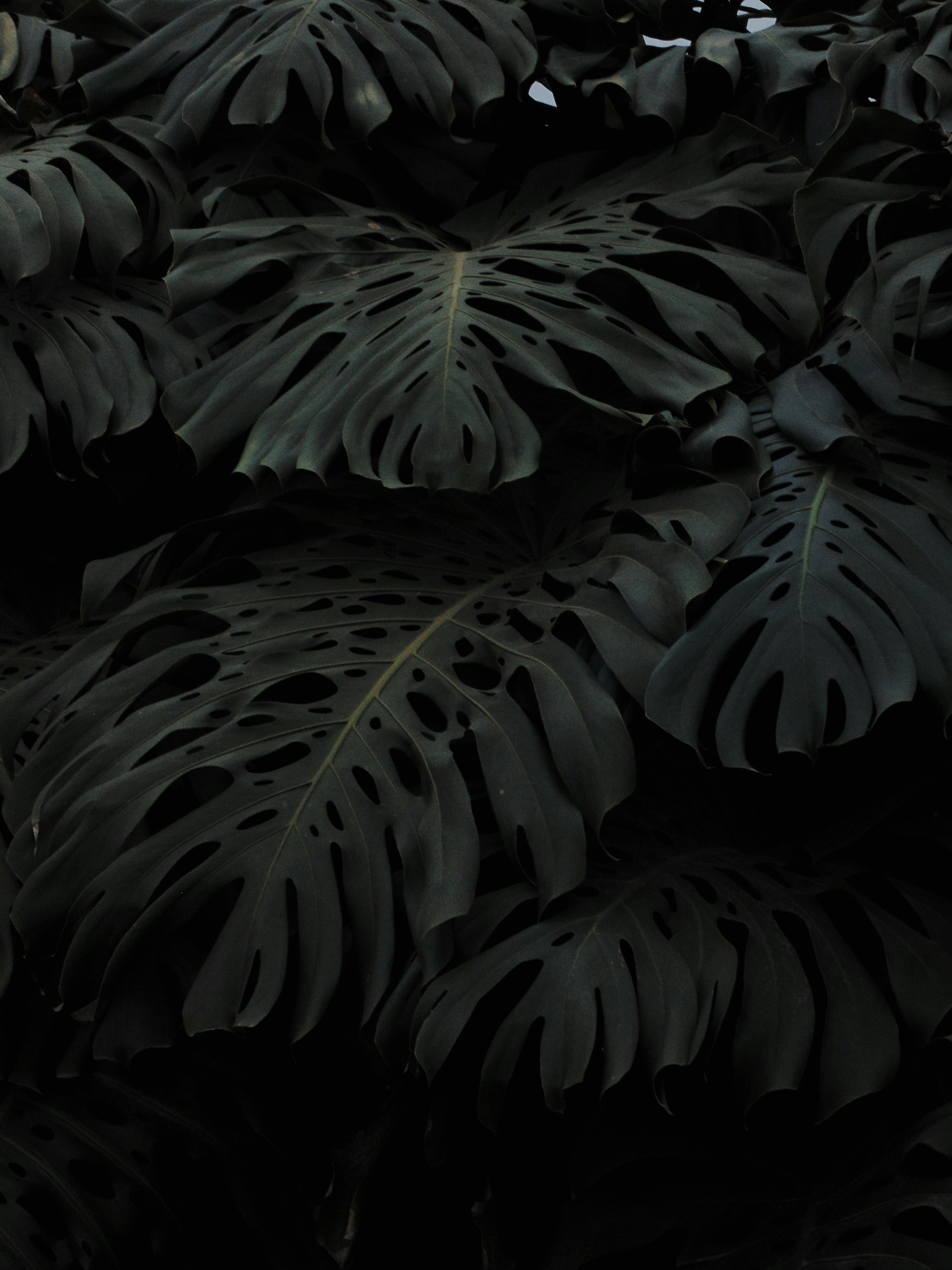 Photo by alueecarrizo