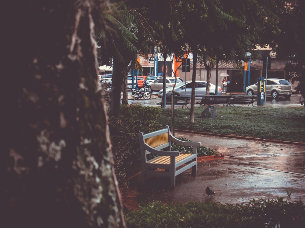 bench on park