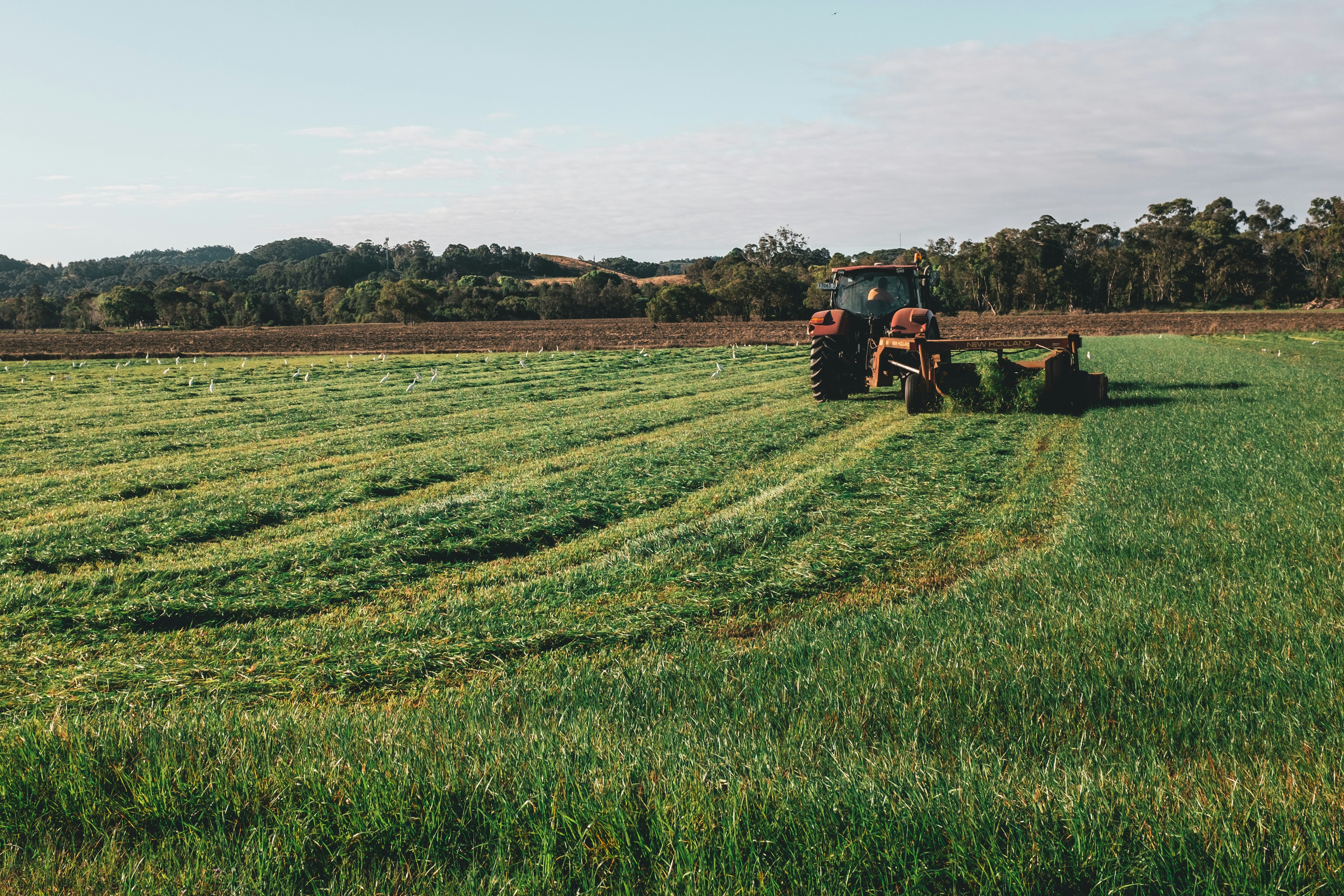 Photo by bradhalcrow