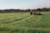 A large, green field with a red tractor is working on cutting or mowing the grass. The field is surrounded by a line of trees in the background under a partly cloudy sky. The tractor is prominently situated further back in the field, creating neat lines as it moves through the grass.