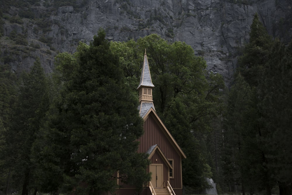 casa di legno marrone tra albero verde