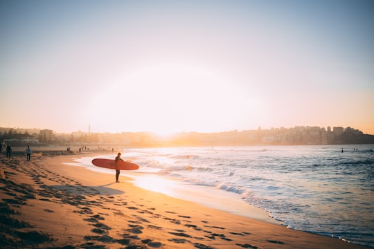 person carrying surfboard at the beach in Bondi Beach Australia