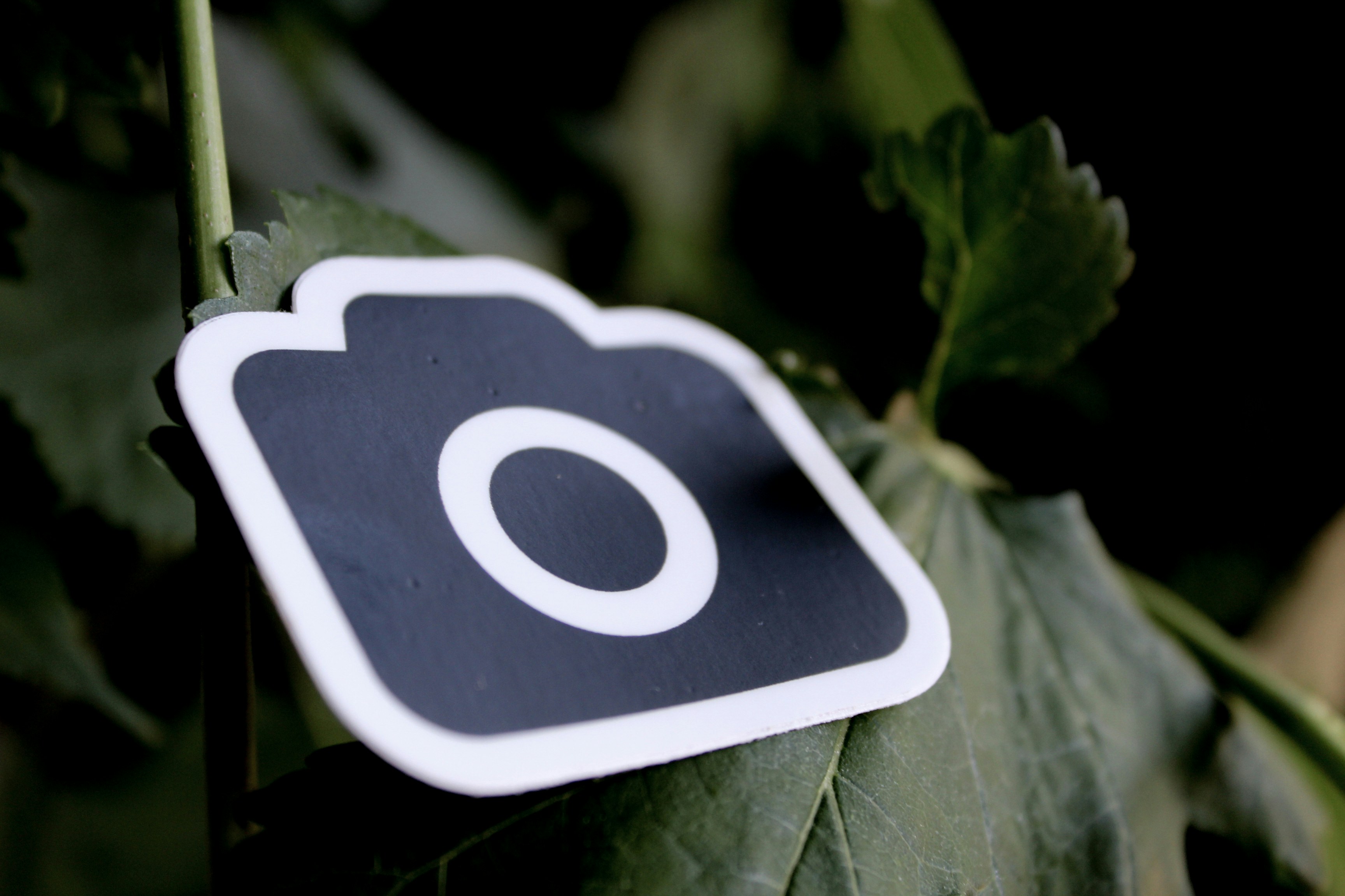 告别繁琐，智能工具代替手动修改网站模板标签，提升工作效率