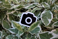 a camera sticker sitting on top of a leafy plant