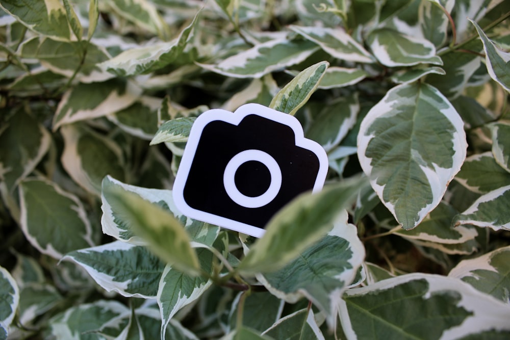 a camera sticker sitting on top of a leafy plant