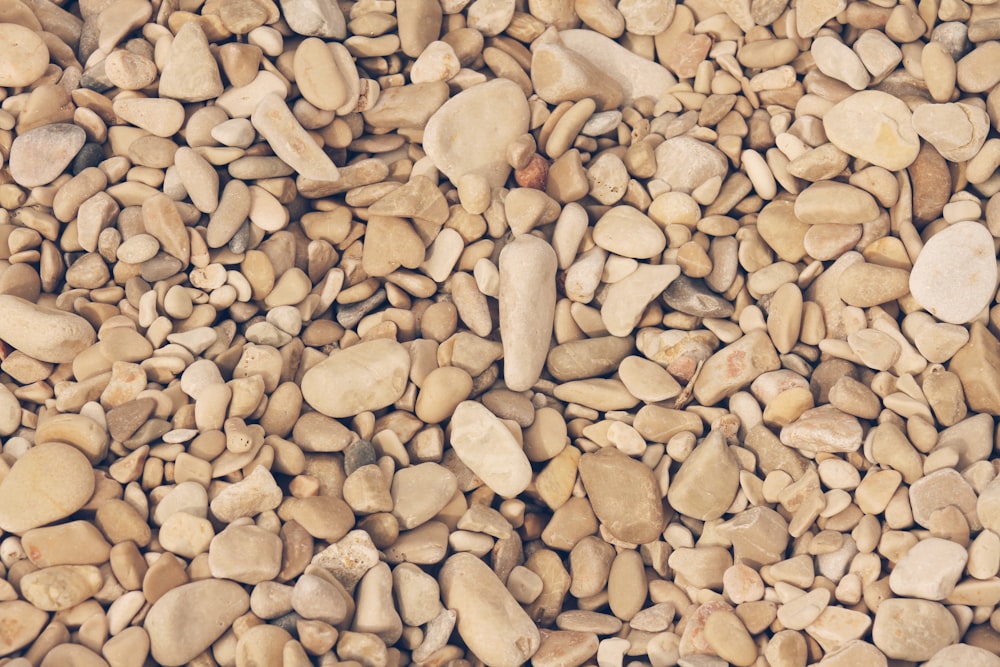 pile of brown and white pebbles