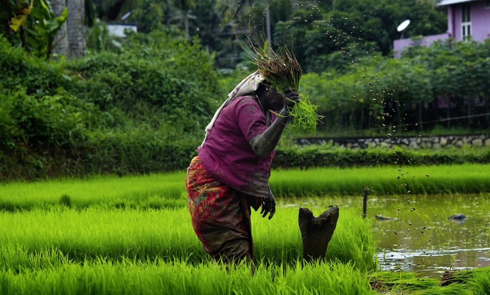 植物を摘む女性