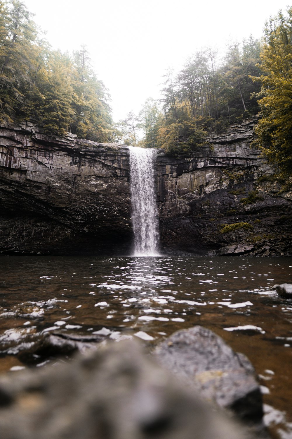 waterfalls near trees during daytime