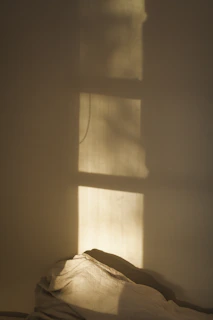 window shadow on wall