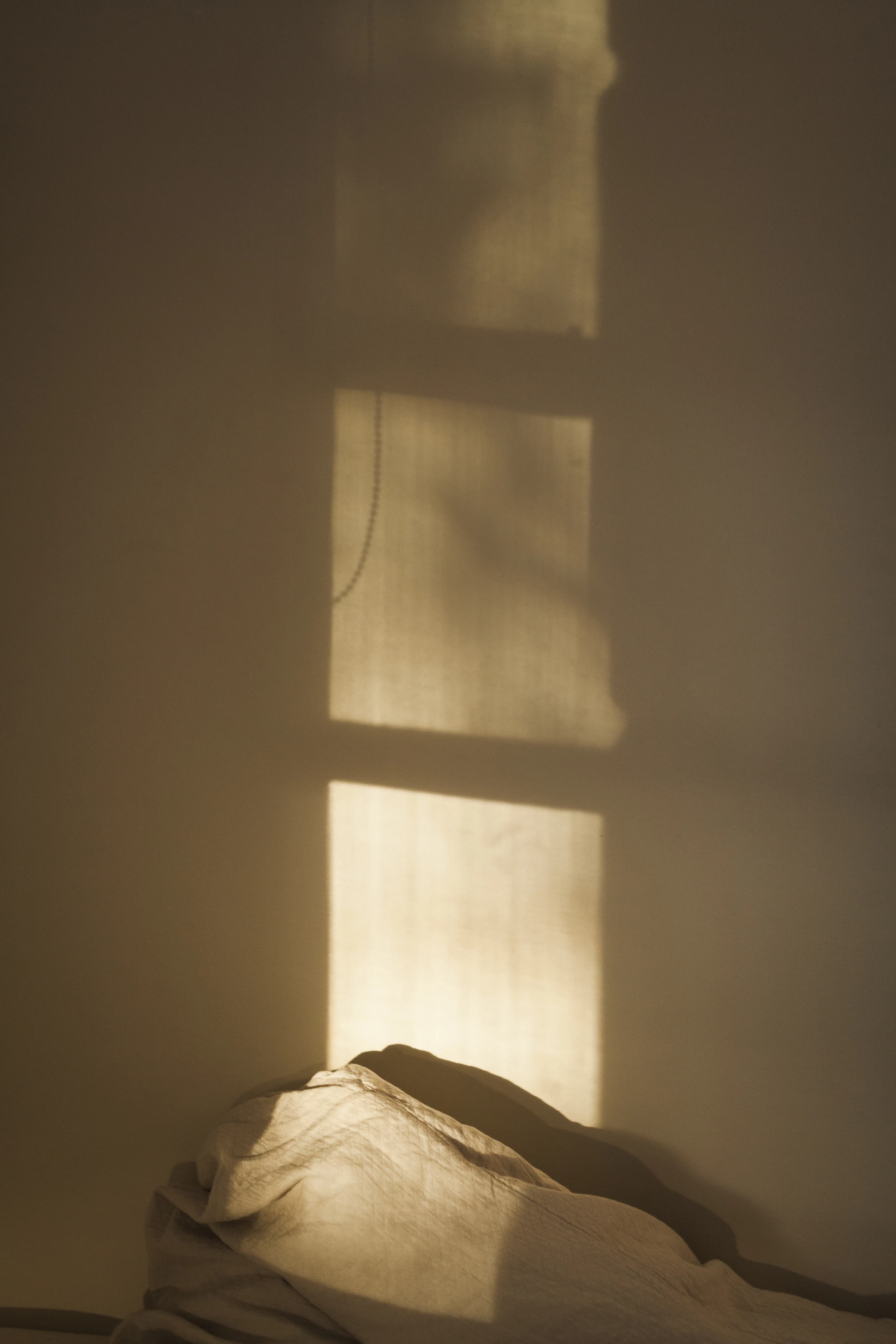 Warm morning light