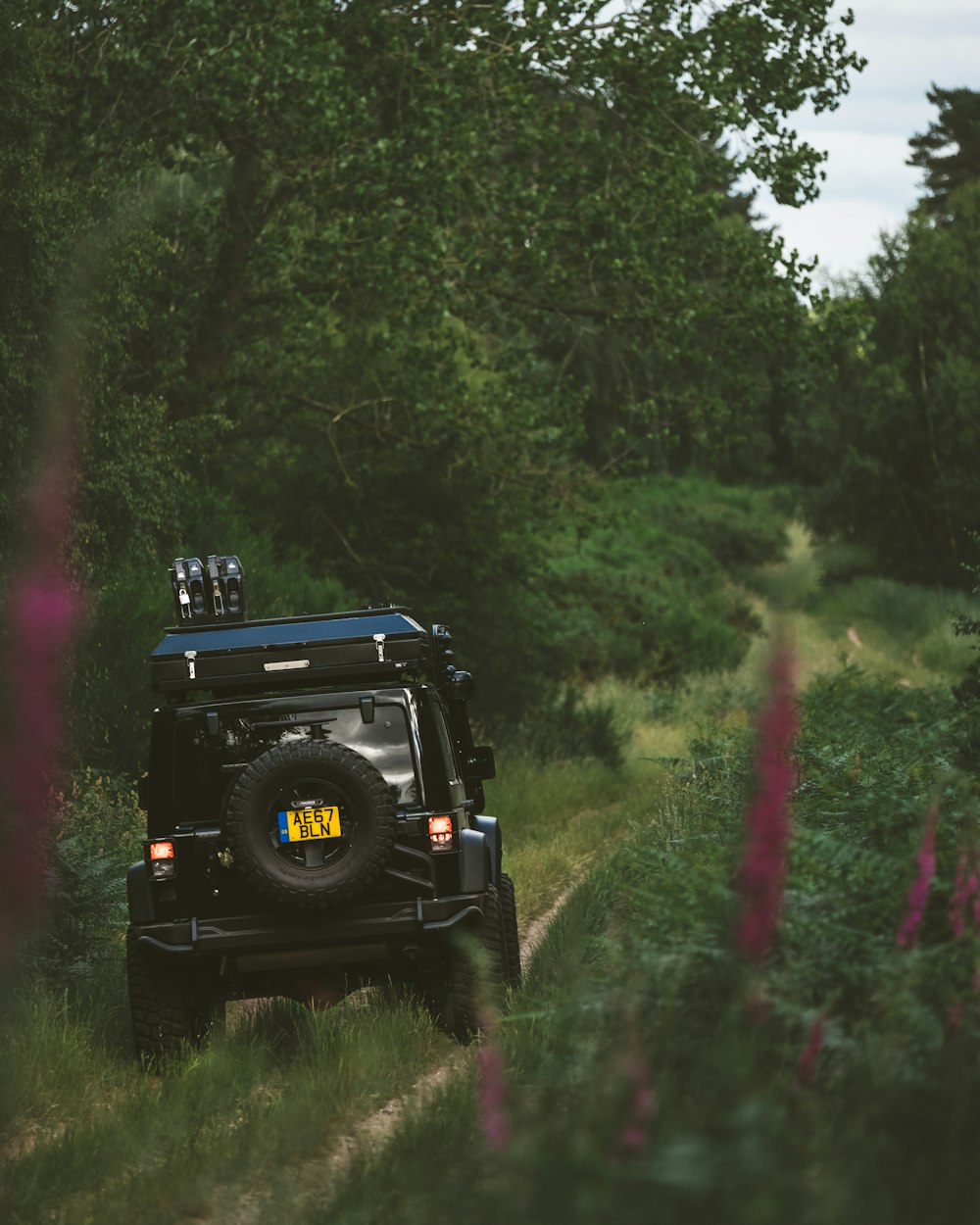 Schwarzes 4x4-Fahrzeug fährt durch den Dschungel