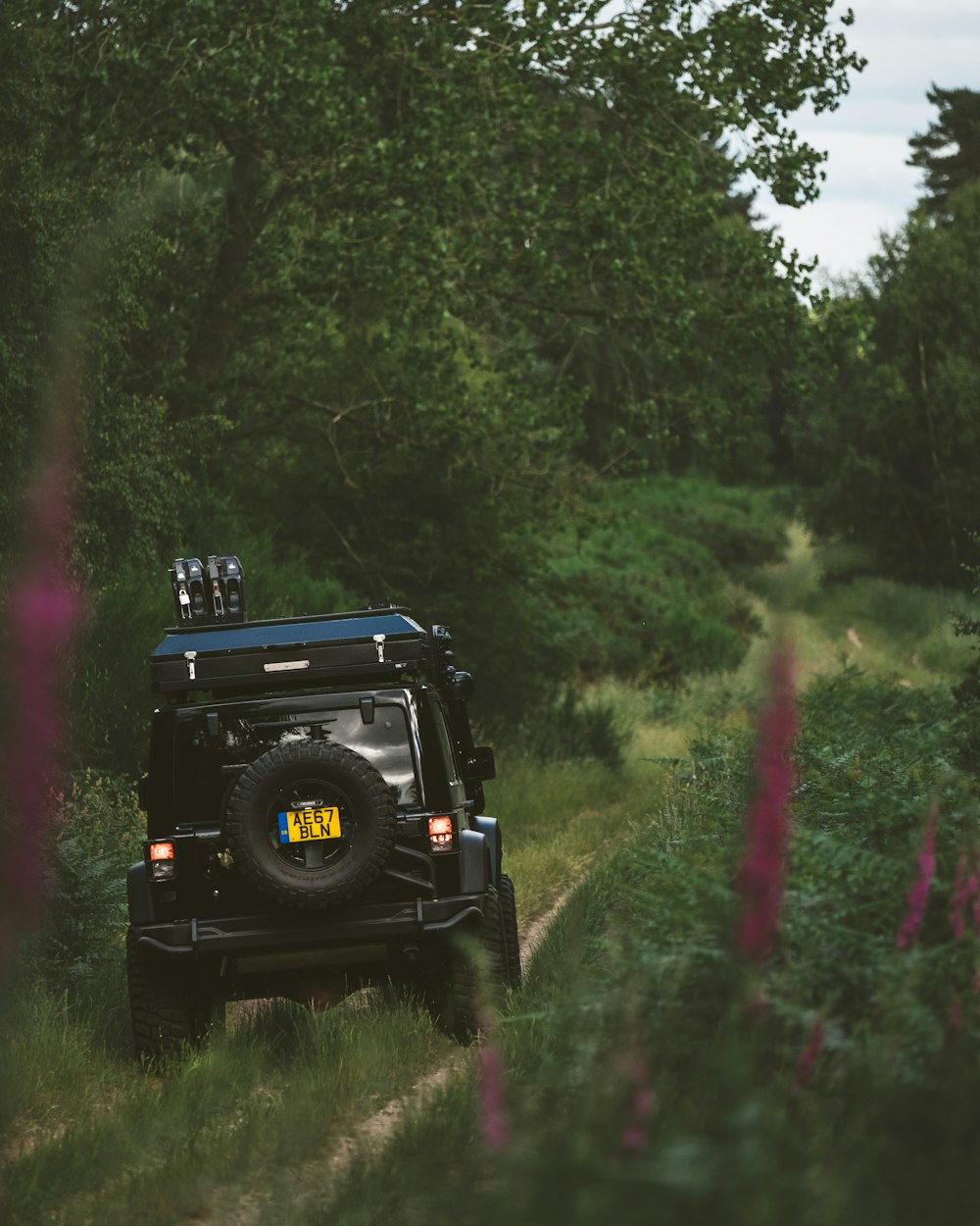 black 4x4 vehicle going through the jungle