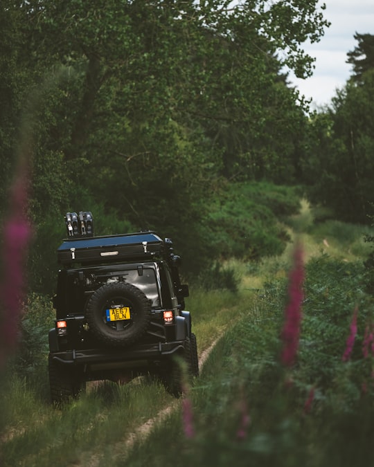 photo of Lakenheath Off-roading near Tate Modern