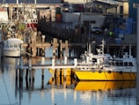Drone shot of a busy harbor with several boats docked along piers