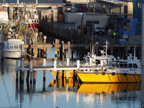 A professional maritime lawyer consulting with a client near a harbor.