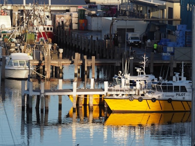 A busy harbor scene featuring several boats docked at wooden piers. The foreground includes a yellow and white pilot boat reflecting in the calm water. In the background, there are various industrial buildings and equipment, along with more boats and shipping containers. The area appears to be a working port.