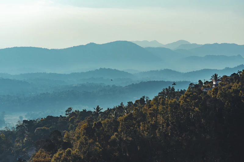 Coorg Hills Plantation