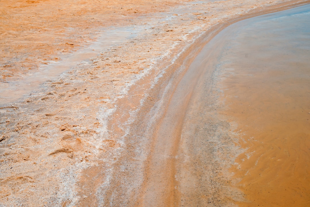 brown seashore beside ocean photo taken during daytime