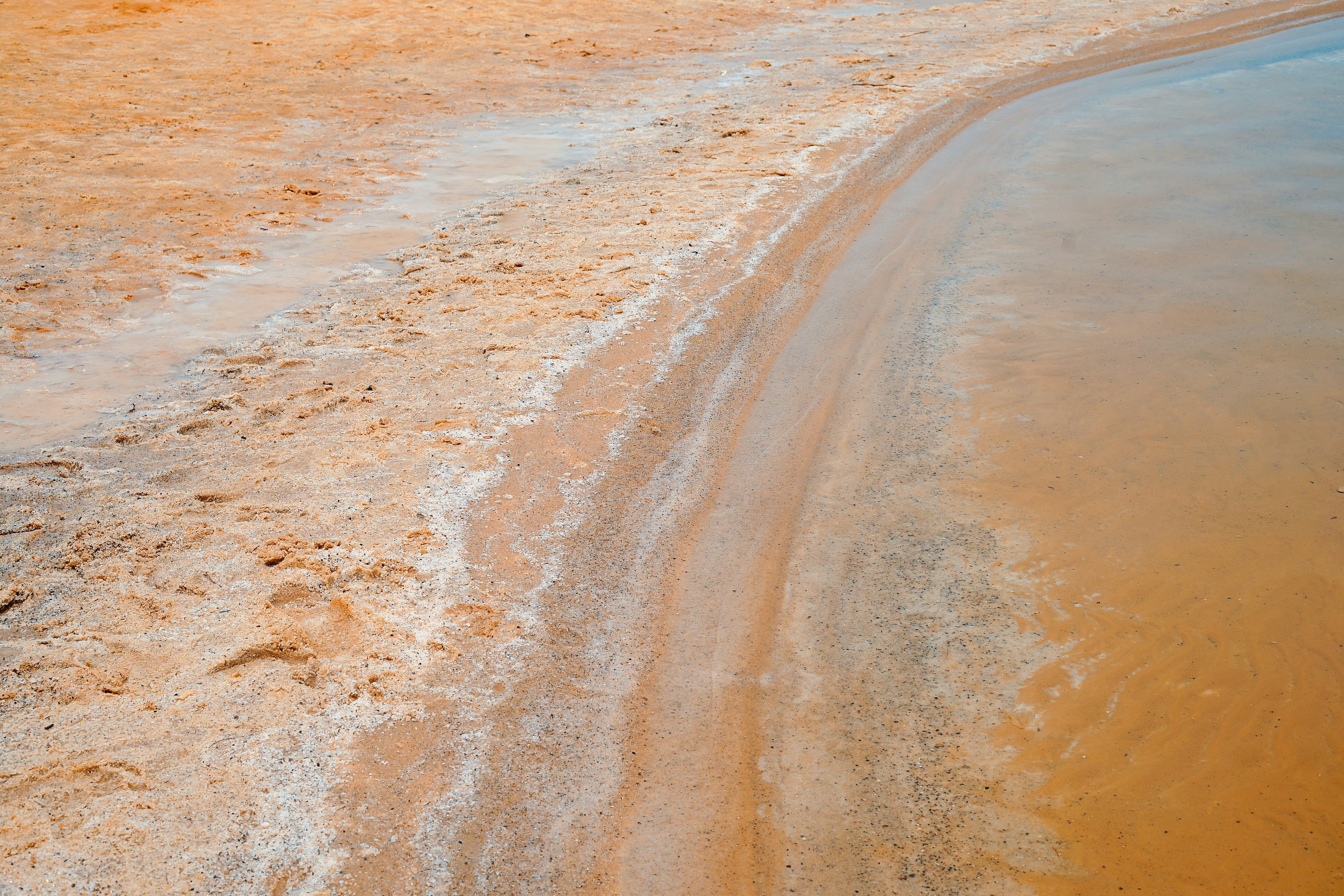 brown seashore beside ocean photo taken during daytime