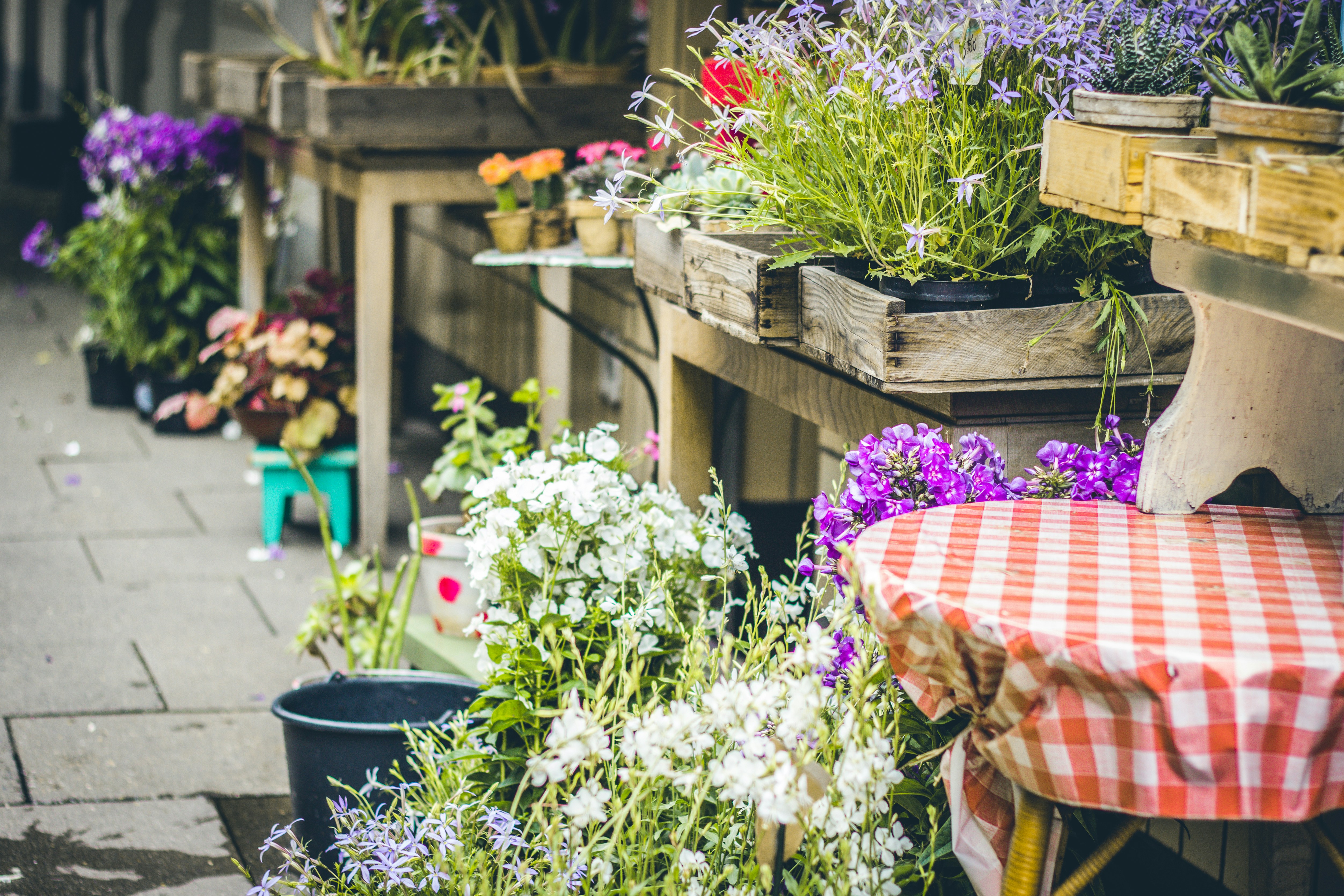 street with flowers in Provence France