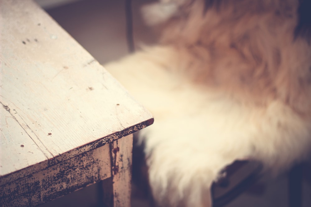 brown wooden table