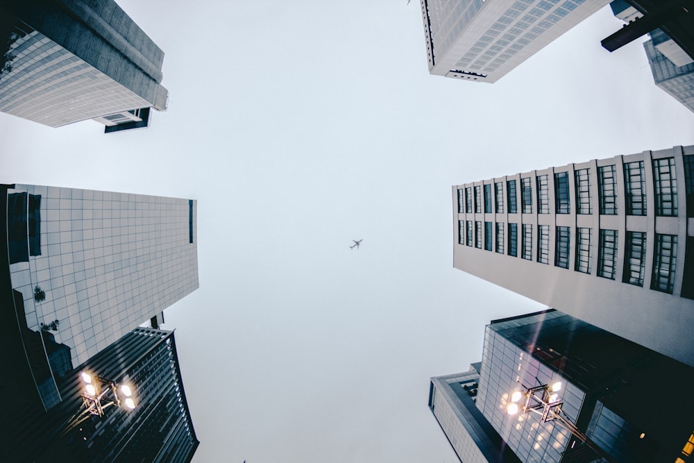 worm's eyeview photography of concrete building