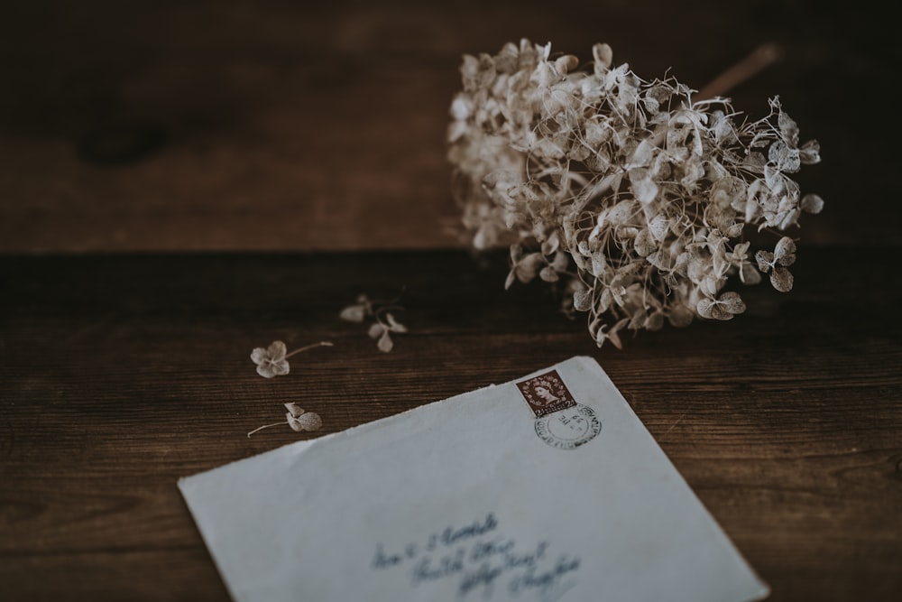 white mailing envelope beside white petaled flower